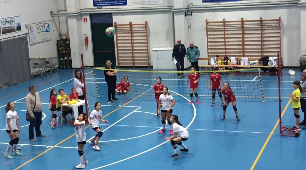 Scopri di più sull'articolo Prende vita il progetto “Augusta Perusia Volley Group”